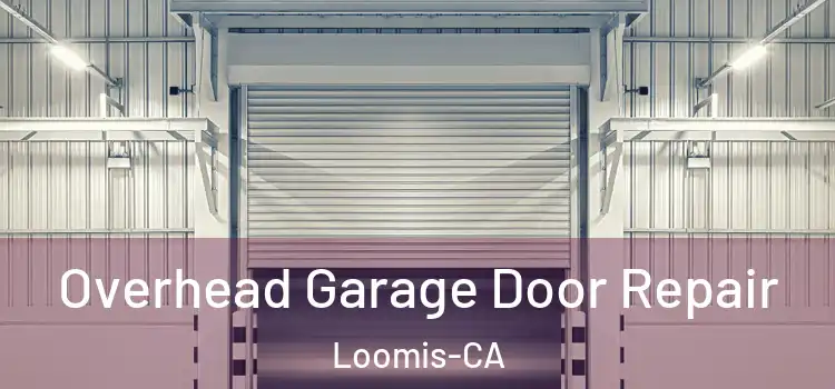  Overhead Garage Door Repair Loomis-CA